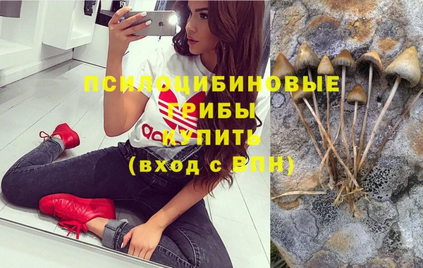 прущий лед Абаза