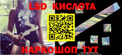 СК Донецк