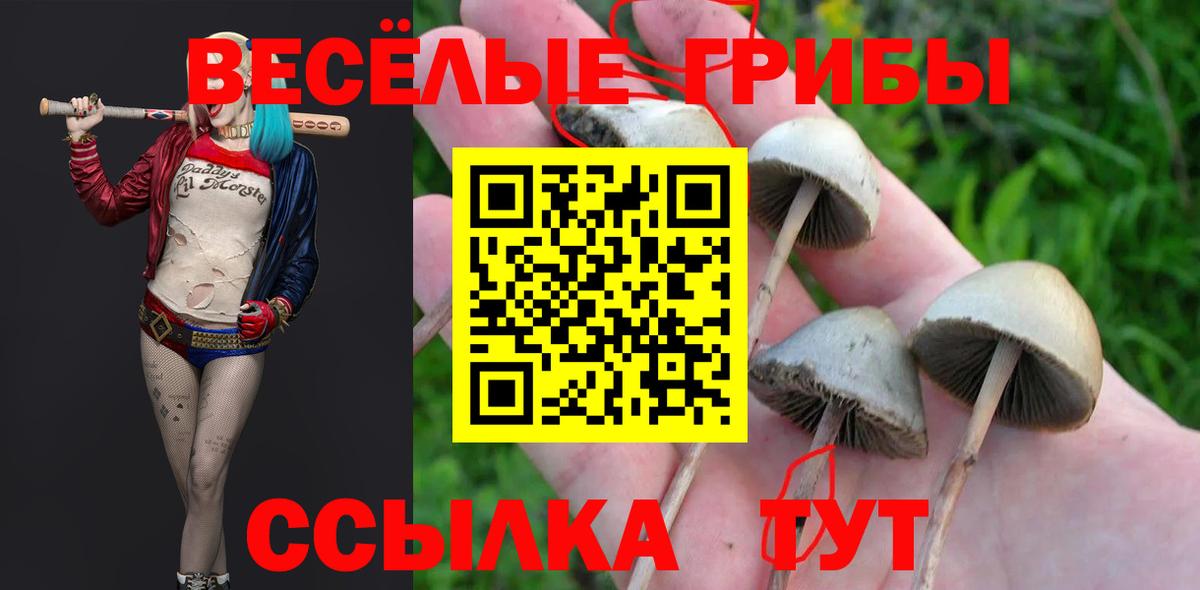 Псилоцибиновые грибы GOLDEN TEACHER Ливны