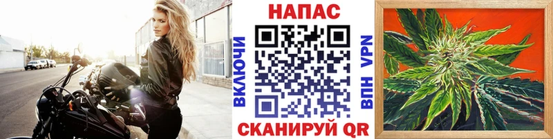 Конопля семена  Ливны 